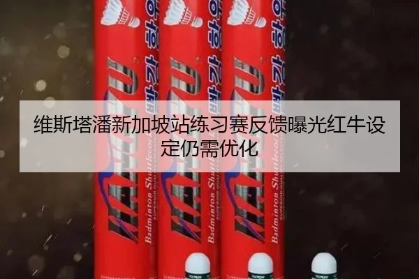 维斯塔潘新加坡站练习赛反馈曝光红牛设定仍需优化